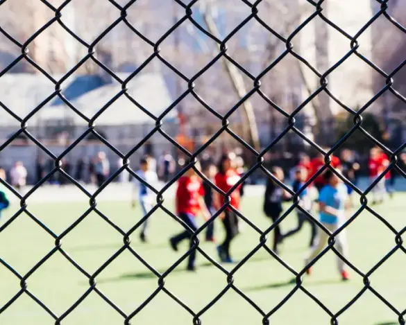 Özel Koruma Çitleri